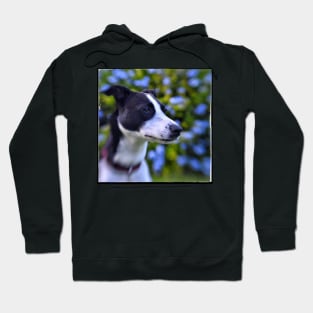 mutt Hoodie